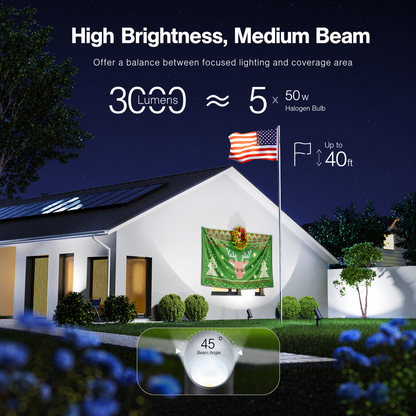 HIBOITEC 30W Spot Lights Outdoor Dusk to Dawn 120V Plug in Flag Pole Light 3000LM 5000K LED Waterproof Landscape Spotlight for Yard Garden Tree Statue, 5.9 FT Cord with Plug